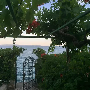 Margarita Seget Vranjica